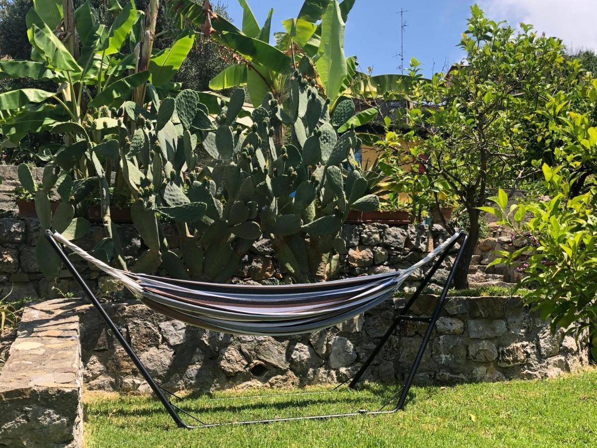 Il Vicolo Palinuro Villa Pisciotta Eksteriør billede